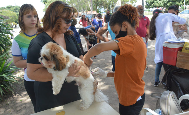 Feira de Santana não registra caso de raiva humana há 21 anos