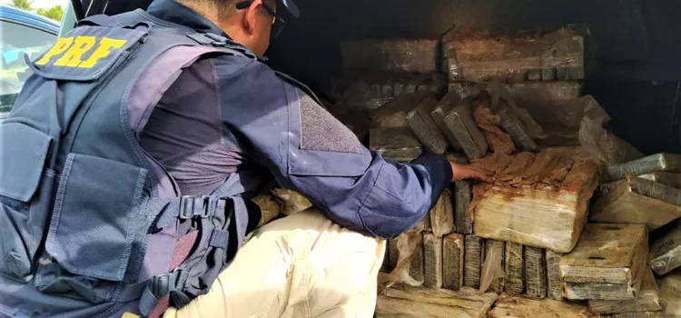 PRF registra aumento de 148% em apreensões de cocaína nas rodovias baianas em 2022