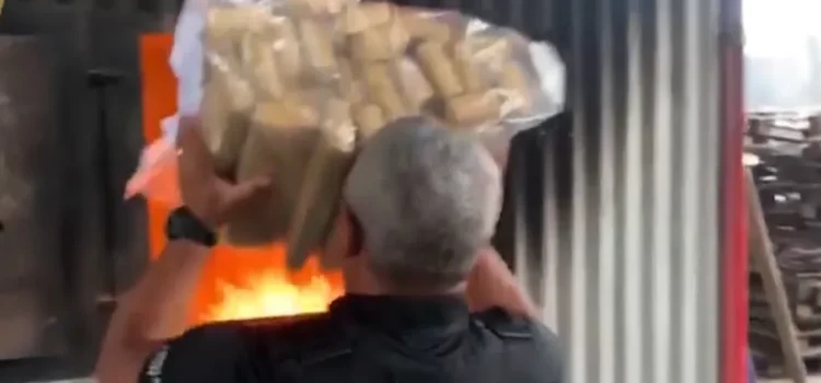 Polícia Civil incinera quase meia tonelada de drogas em Vitória da Conquista