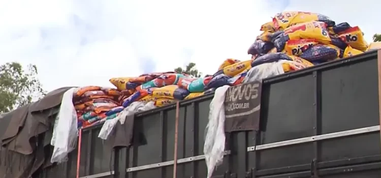 Motorista de caminhão que transportou uma tonelada de maconha é preso na BA