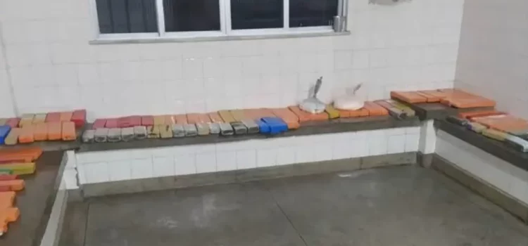 Maconha e cocaína são apreendidas em ônibus de turismo no sudoeste da Bahia