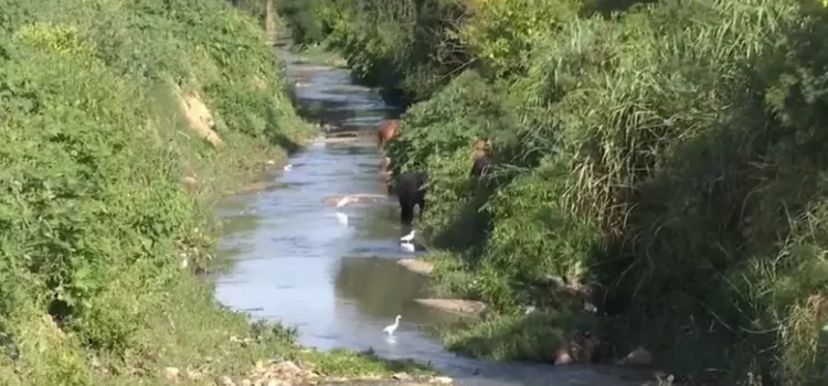 Justiça determina que Embasa e Prefeitura de Vitória da Conquista despoluam Rio Verruga e proteção de reserva ambiental