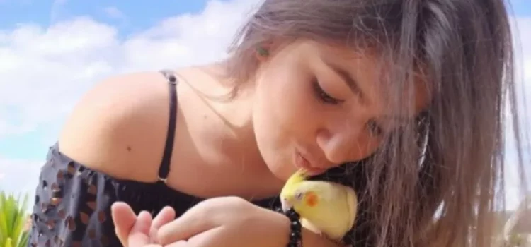 Réu por envolvimento em feminicídio de universitária na Bahia é solto