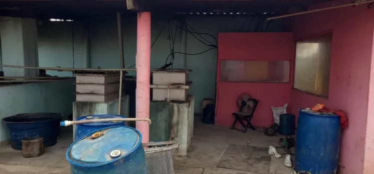 Policiais são alvo de operação contra grupos de extermínio, extorsão mediante sequestro e mineração ilegal de ouro na Bahia