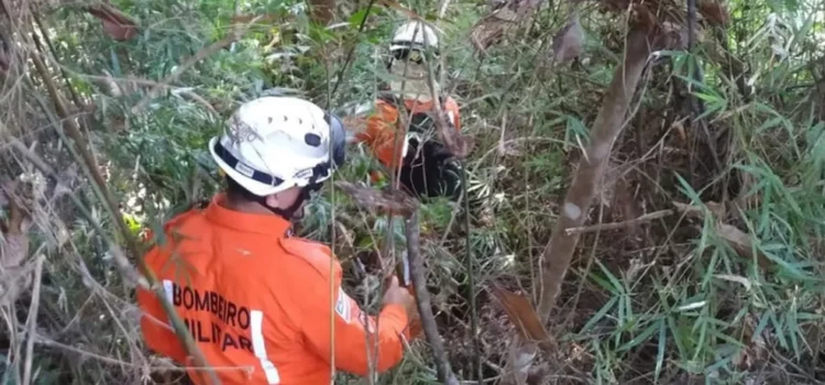 Mulher é resgatada desnutrida e com hipotermia após ficar 6 dias desaparecida em região de mata na Bahia