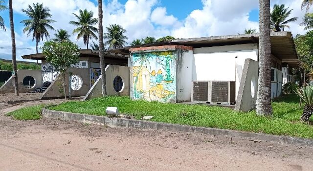 Museu Casa do Sertão celebra 45 anos com exposições de artistas locais; veja como visitar