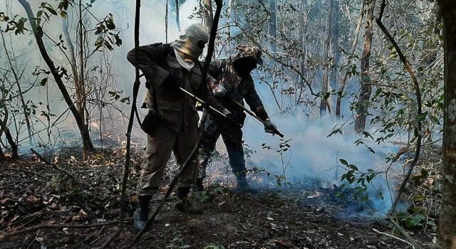 Incêndios queimaram 30% de área do Pantanal em 2020, mostra estudo