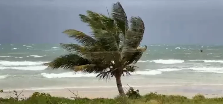 Homem é encontrado morto em areia de praia no sul da Bahia