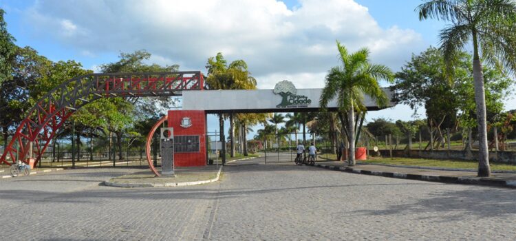 Parque da Cidade passa por complexo processo de revitalização