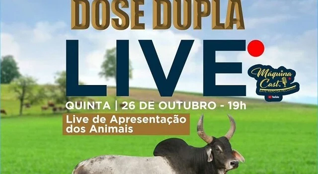 22º Leilão da Raça Guzerá Dose Dupla será realizado online no dia 28
