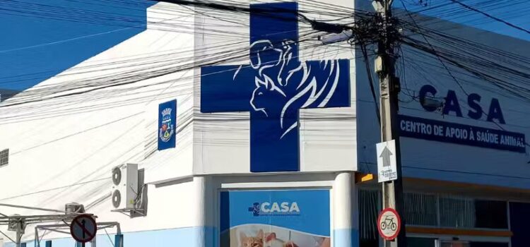 Centro médico gratuito de animais na BA é referência e inspira outras capitais