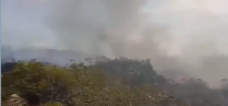 Incêndio atinge 80 hectares de área de vegetação no interior da BA; plantações foram destruídas e fogo quase atingiu casas