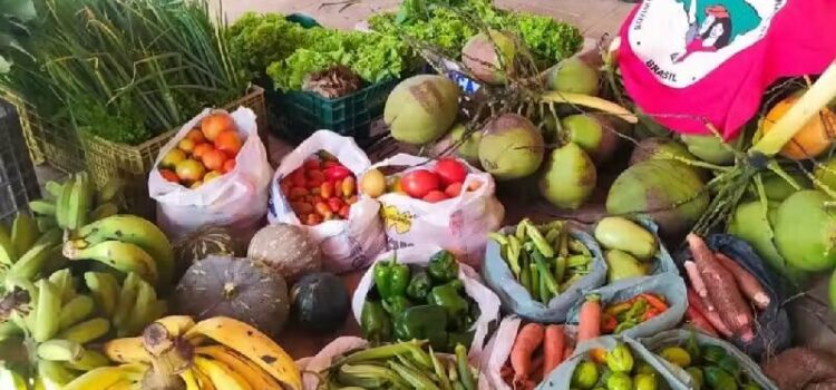 MST doa 20 toneladas de alimentos em 17 estados e chama atenção sobre a fome