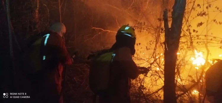 Incêndio chega próximo a áreas de visitação do Parque Serra das Confusões, no Piauí