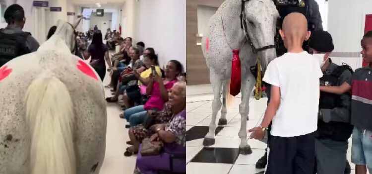 Cavalo da PM visita crianças com câncer e leva alegria a hospital do MT
