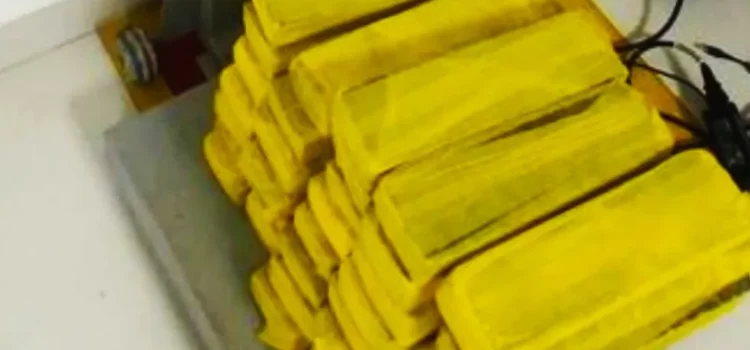Homem é preso após ser flagrado com 38 tabletes de maconha em ônibus de turismo na Bahia
