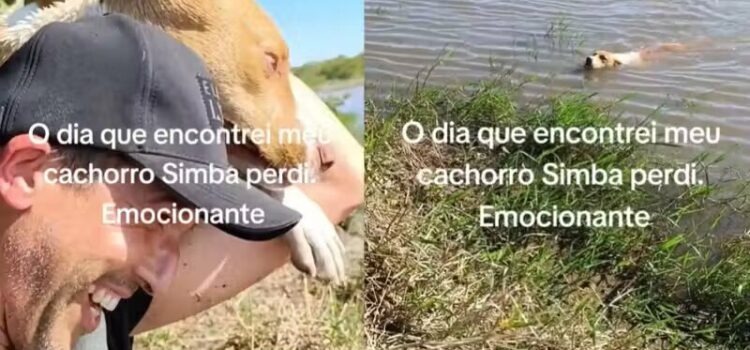 Tutor encontra cachorrinho perdido há três dias no rio; “nunca desisti”