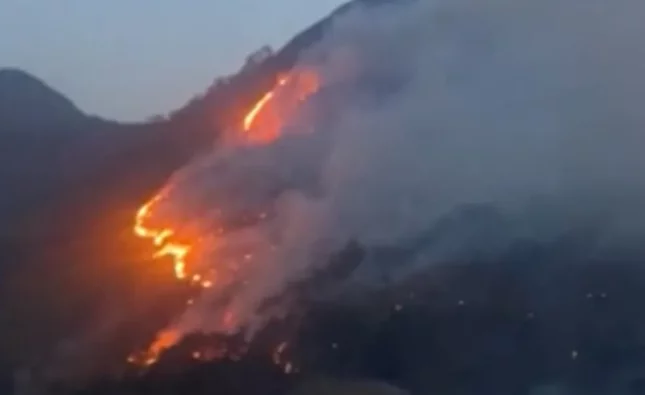 Incêndio atinge área de vegetação e abastecimento de água é interrompido em povoado na Bahia