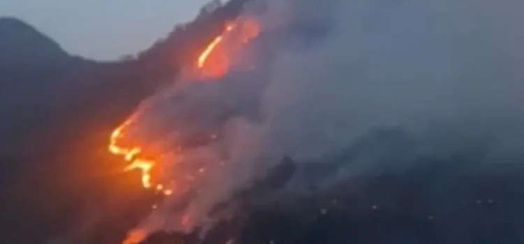 Incêndio atinge área de vegetação e abastecimento de água é interrompido em povoado na Bahia