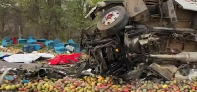 O que se sabe sobre acidente entre ônibus de turismo e caminhão que deixou mais de 20 mortos na Bahia