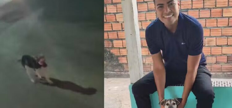 Casal em moto acolhe cãozinho que os perseguia pedindo para ser adotado