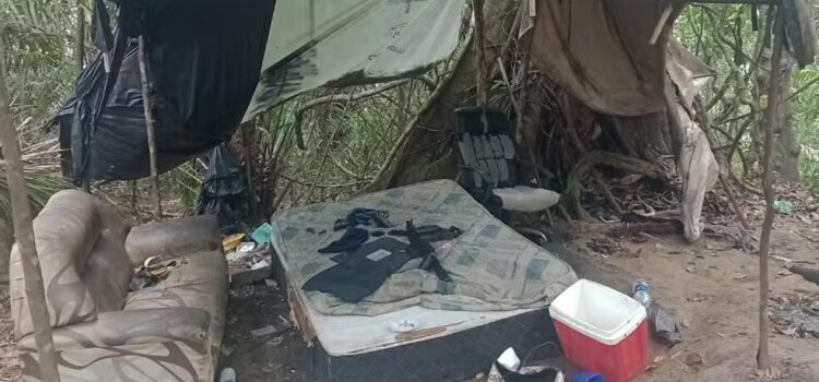 Acampamento de suspeitos de tráfico é desmontado pela polícia em área de mata na Bahia