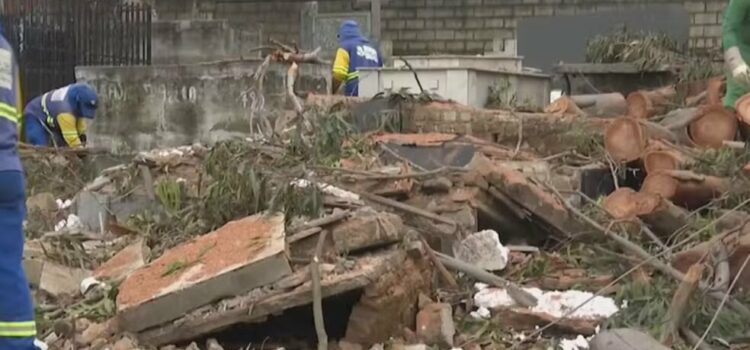 Árvore centenária cai e destrói túmulos em cemitério na Bahia: ‘nem na última morada eles estão tendo paz’, reclamou familiar