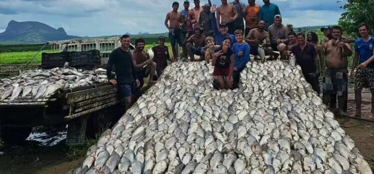Casal pesca 3 toneladas de peixes e doa para comunidade no interior do ES