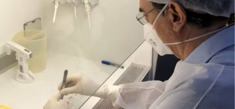 Câncer: pacientes começam a receber tratamento inovador em SP