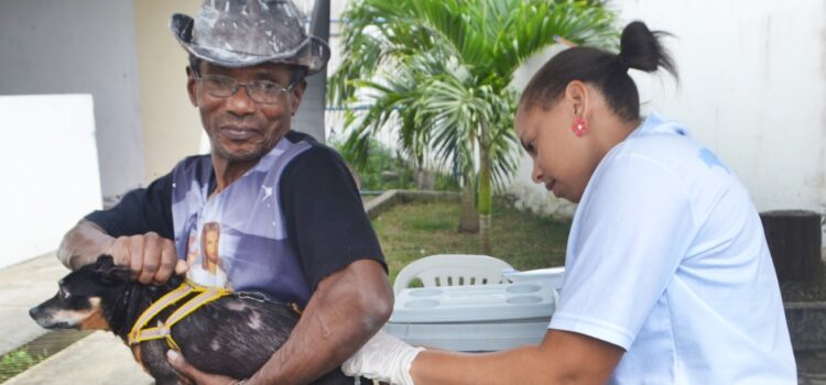 Confira o cronograma da vacinação contra raiva desta semana