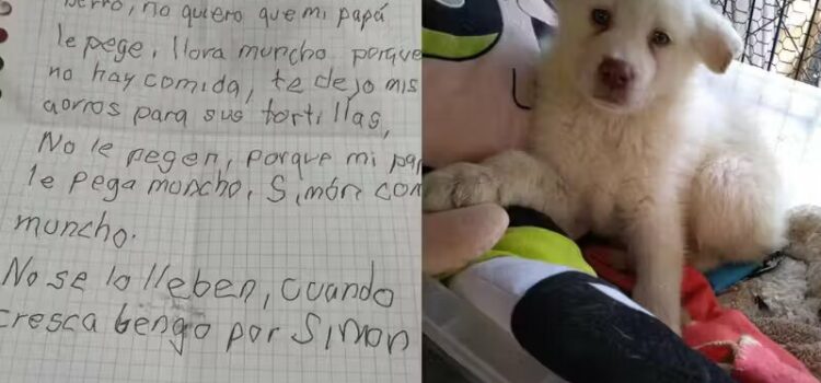 Menino que entregou cão para abrigo com cartinha o visita todo mês