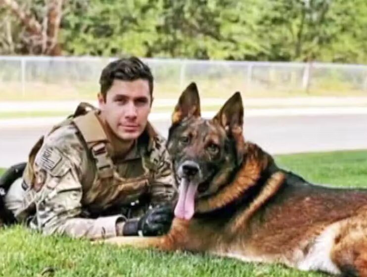 Sargento adota cão farejador aposentado com quem trabalhou por anos no exército