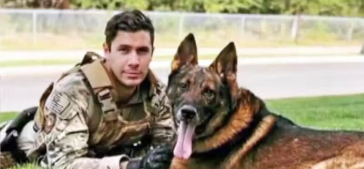 Sargento adota cão farejador aposentado com quem trabalhou por anos no exército