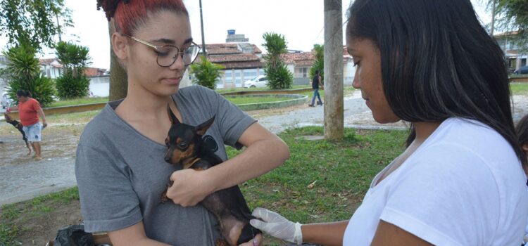 Vacinação contra raiva em seis bairros esta semana