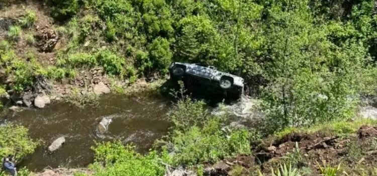 Cão herói salva tutor que caiu com carro em penhasco; correu 6km
