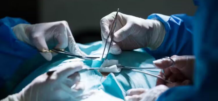 Novo tratamento para lesões na medula tem avanço inédito no Japão