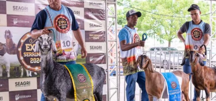 6ª edição da ExpoSerrinha deve reunir mais de 900 animais no interior da Bahia