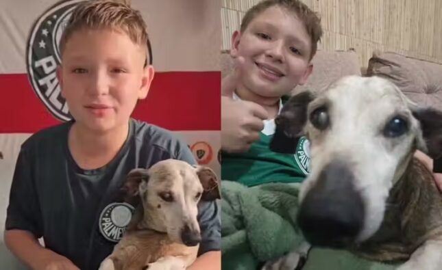 Garotinho comemora aniversário do cãozinho idoso de 18 anos e emociona as redes; vídeo