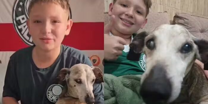 Garotinho comemora aniversário do cãozinho idoso de 18 anos e emociona as redes; vídeo