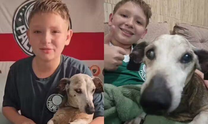 Garotinho comemora aniversário do cãozinho idoso de 18 anos e emociona as redes; vídeo