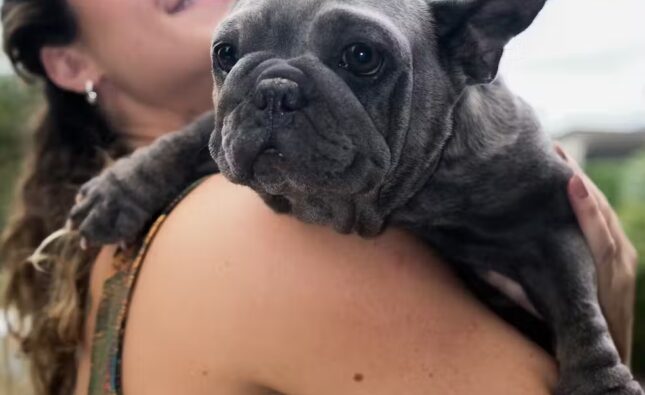 Paolla Oliveira adotou 11 gatos e 7 cachorros e pede que seguidores adotem também; “quem ganhou fui eu”