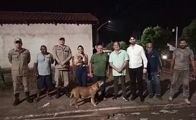 A comunidade se mobilizou para ajudar Vitória, a filhote de caramelo presa no bueiro. E deu certo! – Foto: @protetoraanalucia520