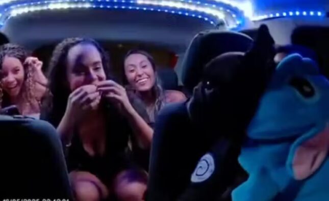 Motorista de app leva cachorro vestido de Stitch no carro e encanta passageiros; vídeo