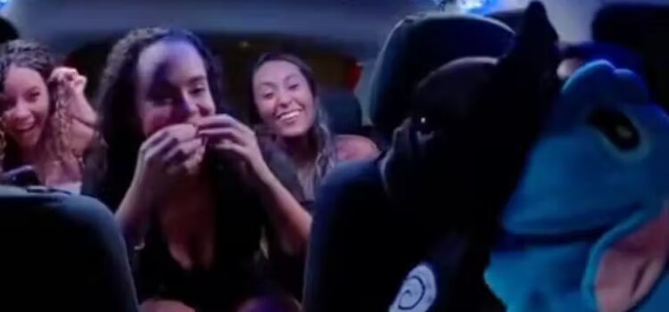 Motorista de app leva cachorro vestido de Stitch no carro e encanta passageiros; vídeo
