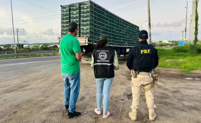 Caminhão com 2 mil frangos é apreendido no interior da Bahia; animais serão abatidos em cidade da região