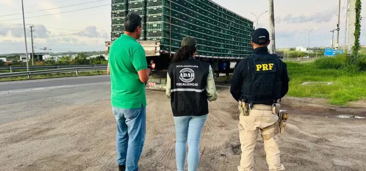 Caminhão com 2 mil frangos é apreendido no interior da Bahia; animais serão abatidos em cidade da região