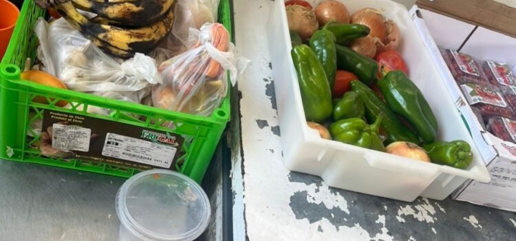 Vigilância Sanitária interdita estabelecimento do ramo alimentício por irregularidades sanitárias