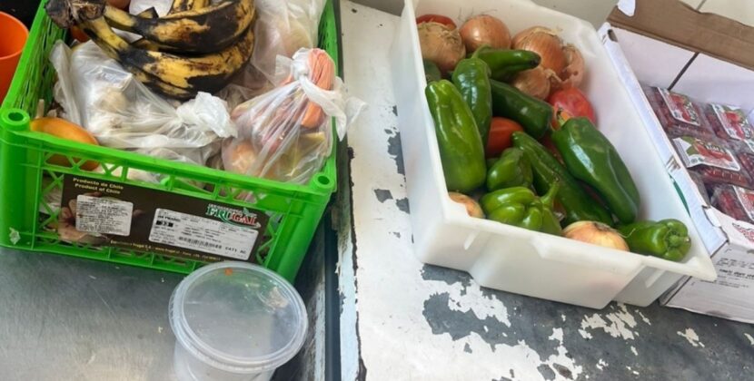 Vigilância Sanitária interdita estabelecimento do ramo alimentício por irregularidades sanitárias