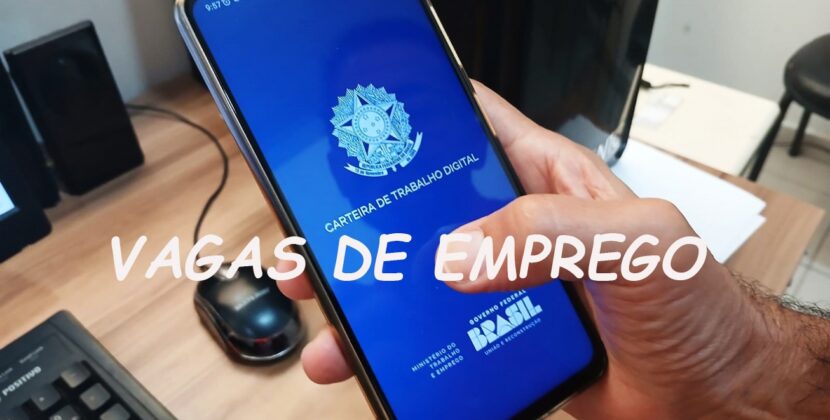 Atendente de farmácia, babá e mecânico de automóveis estão entre as vagas de emprego desta terça-feira (30)