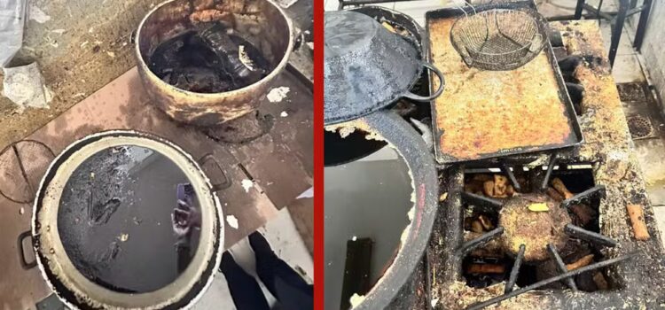 Vigilância Sanitária interdita pastelaria por condições insalubres em Feira de Santana